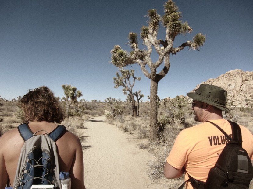 The Wonderland of Rocks hike to Willow Hole is a great easy day hike in Joshua Tree.