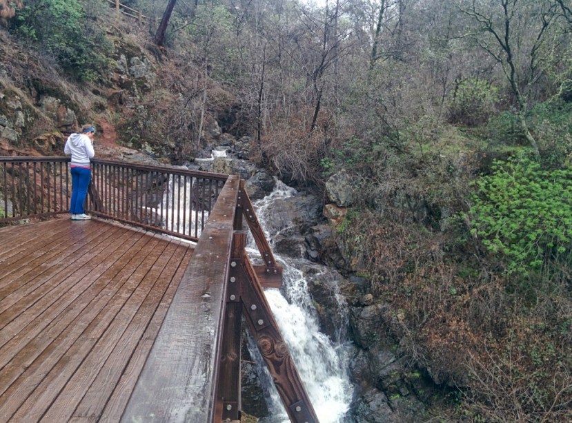 Lisa and I hiked a loop around the park in moderately heavy rain. It was great.